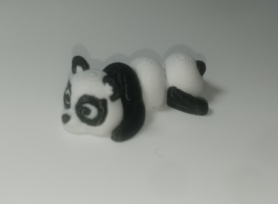 Pandita regordete